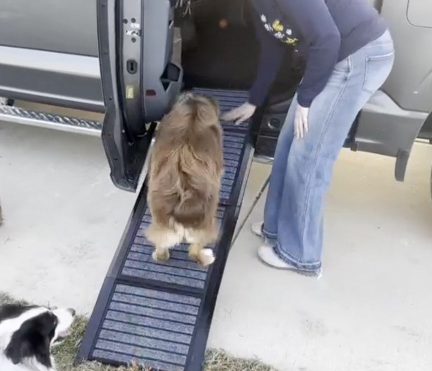 Rampa plegable para perros, 67" largo