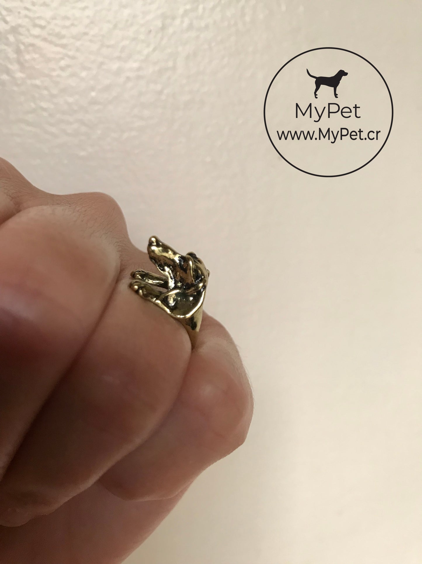 Anillo Dachshund 3D