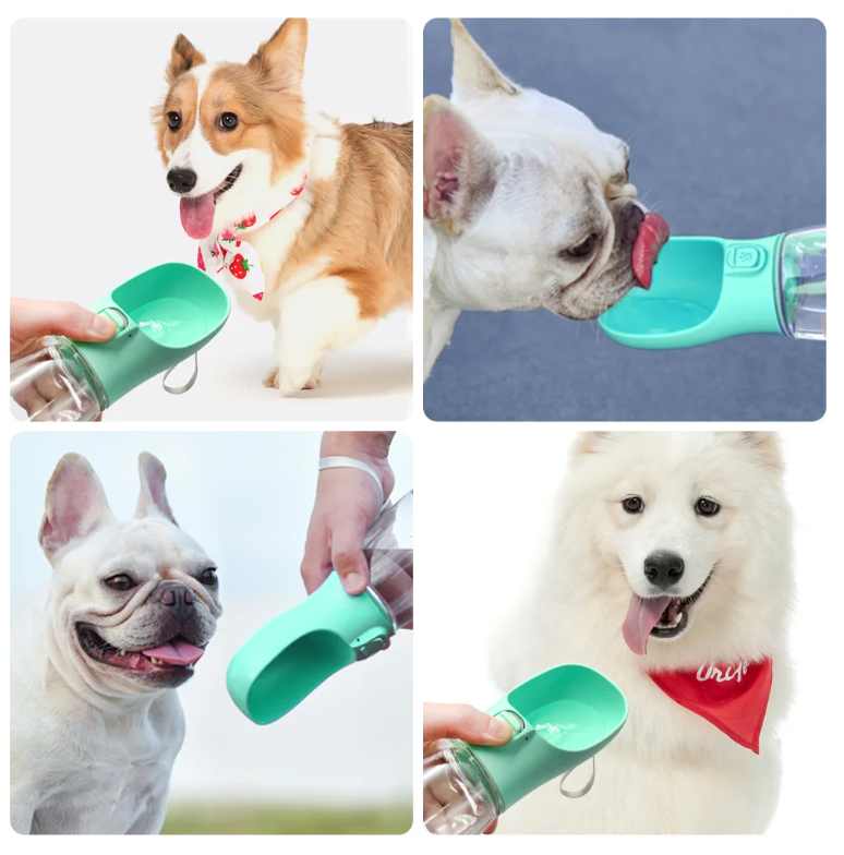 Botella con dispensador de agua para mascotas, varios colores, click aquí para ver más