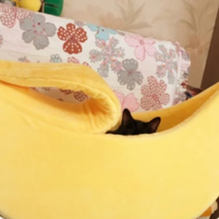 Cama discount banana perro