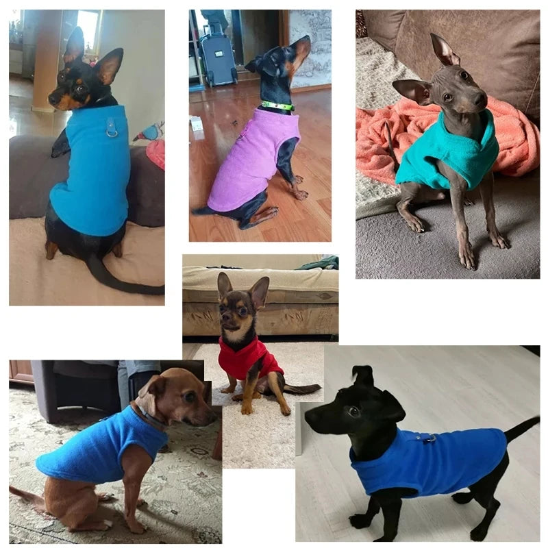 Chaleco cálido para perros y gatos