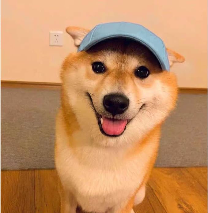 Gorra para perro, varios colores y tallas, click aquí para ver más