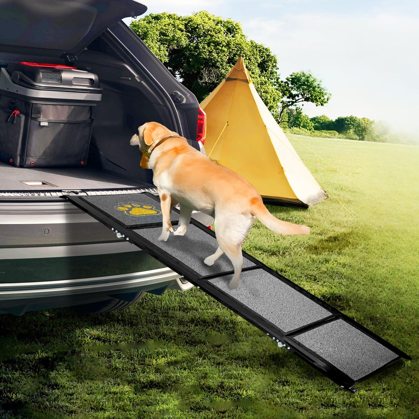 Rampa plegable para perros, 67" largo