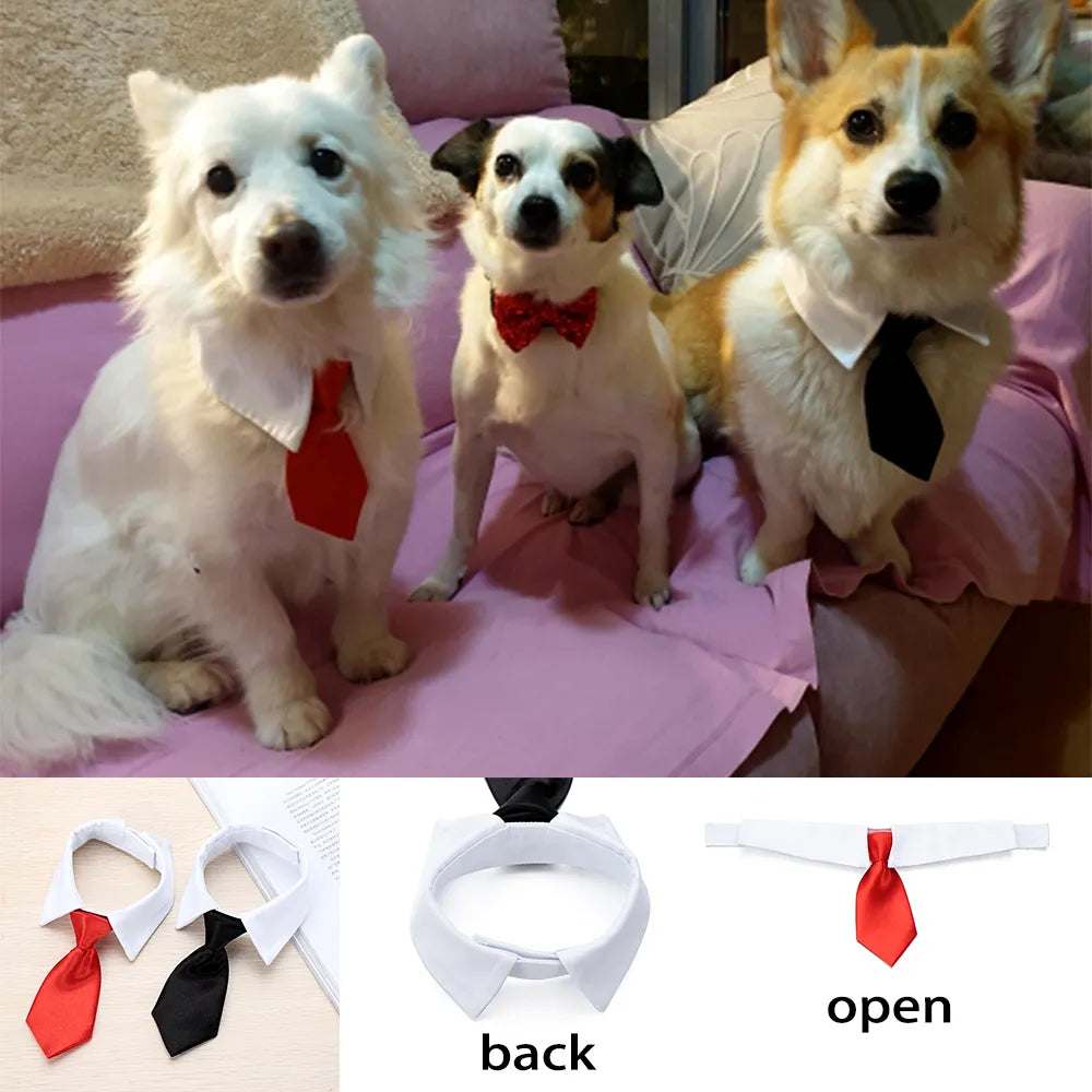 Corbata para perro o gato