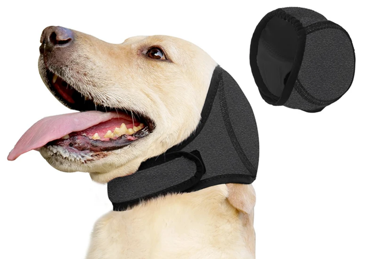 Protectores de oídos perros y gatos - Varios modelos - Consulte precios por WA